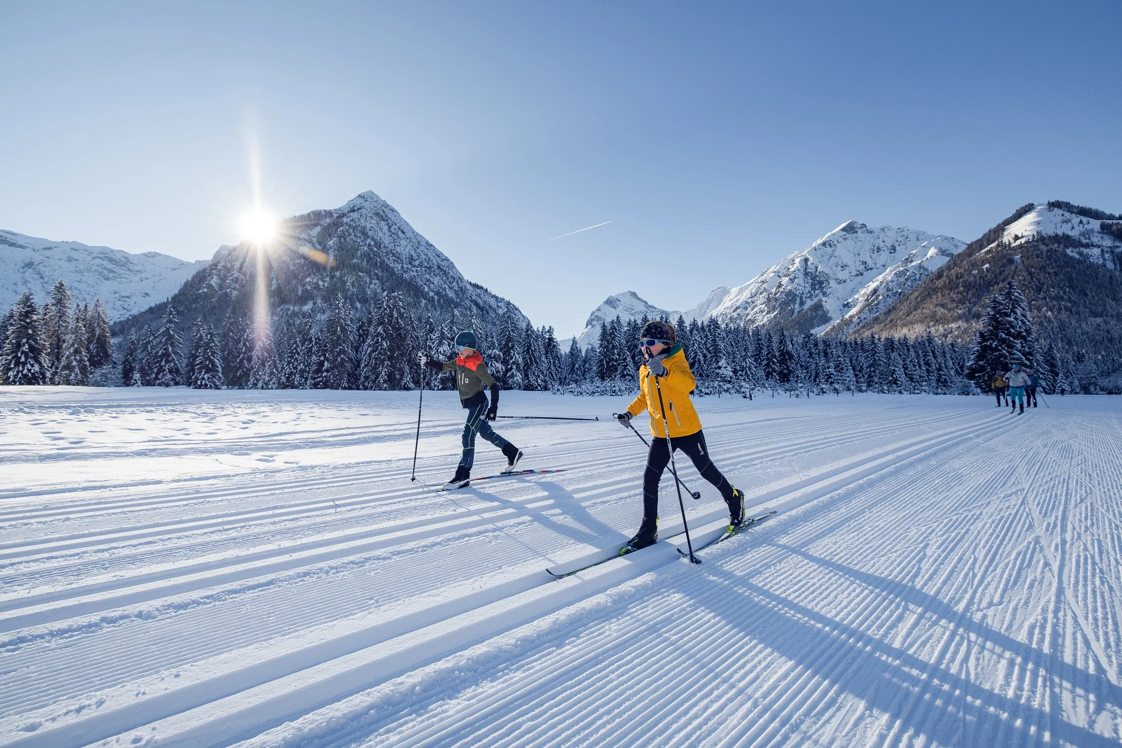 Bild aus der Galerie Winter in der Natur ...